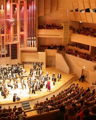 Encanto in Concert Live to Film Chicago
