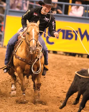 ABP Rodeo & Bull Riding