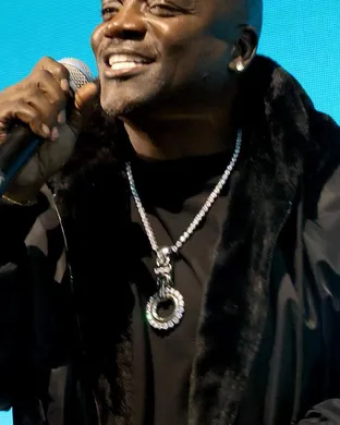 Akon Tinley Park