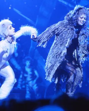 Cats - The Musical Rosemont