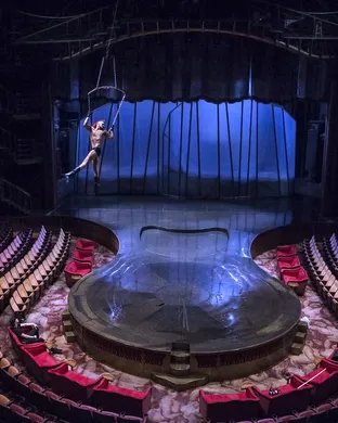 Cirque Du Soleil Rosemont