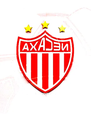 Club Necaxa Bridgeview