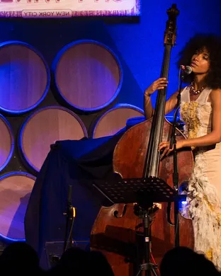 Esperanza Spalding Chicago
