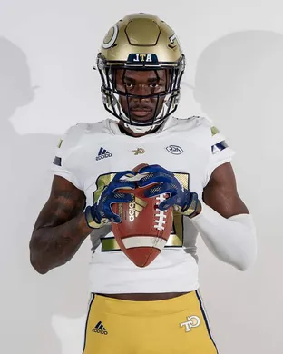 Georgia Tech Yellow Jackets Rosemont