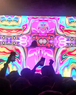 Hippie Sabotage Chicago