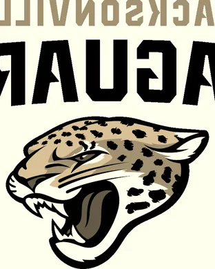 Jacksonville Jaguars Chicago