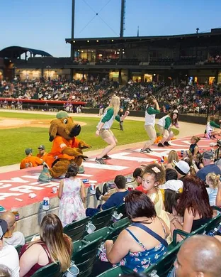 Joliet Slammers Rosemont