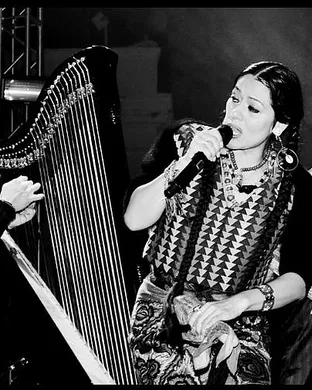 Lila Downs Chicago