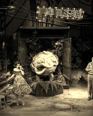 Little Shop Of Horrors Rosemont