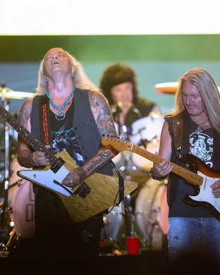Lynyrd Skynyrd Tinley Park