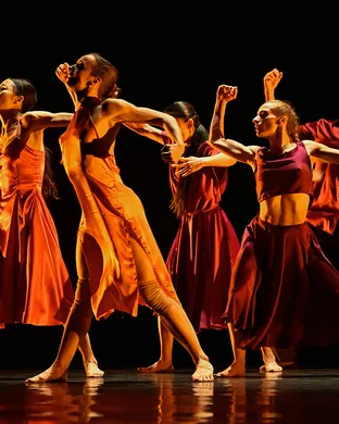 Martha Graham Dance Company Rosemont