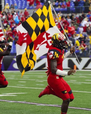 Maryland Terrapins Rosemont