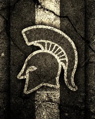 Michigan State Spartans Rosemont
