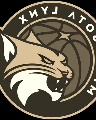 Minnesota Lynx Chicago