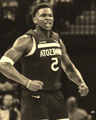 Minnesota Timberwolves Rosemont