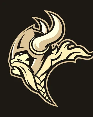 Minnesota Vikings Chicago