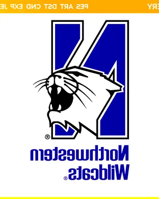 Northwestern Wildcats Football Bloomington