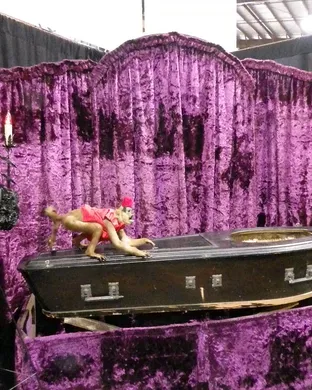 Oddities and Curiosities Expo Chicago