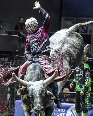 Professional Championship Bull Riders Saint Charles