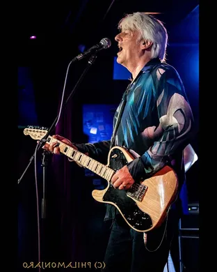 Robyn Hitchcock Rosemont