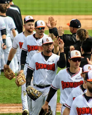 Schaumburg Boomers Rosemont