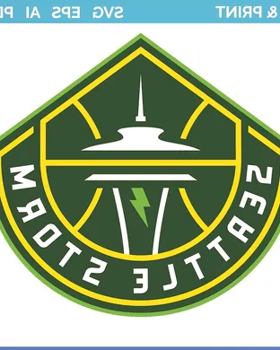 Seattle Storm Chicago