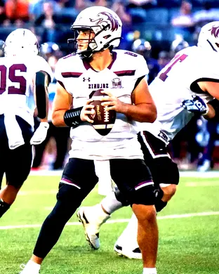 Southern Illinois Salukis Rosemont