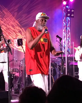 Steel Pulse