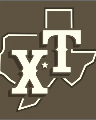 Texas Rangers Arlington