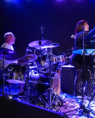 Chameleons Rosemont
