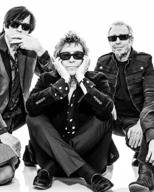 The Psychedelic Furs Chicago