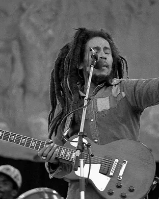 The Wailers Chicago