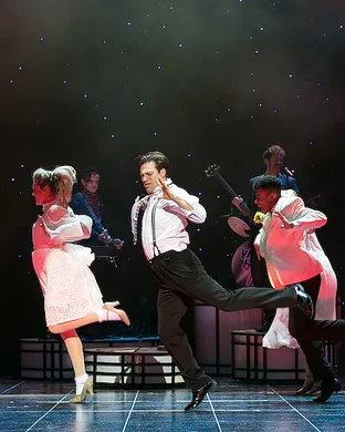 The Wedding Singer Arlington Heights