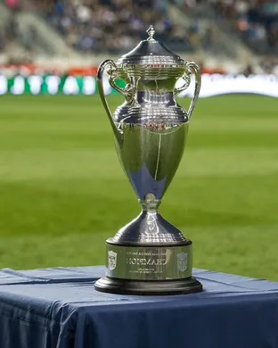 U.S. Open Cup Bridgeview