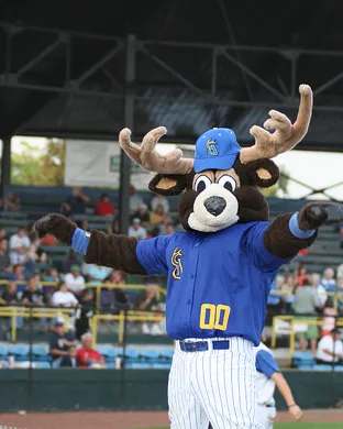 Waterloo Bucks Kenosha