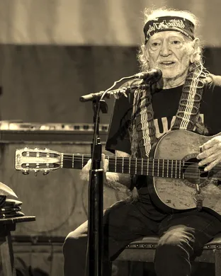 Willie Nelson Tinley Park