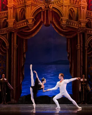 World Ballet Company Skokie