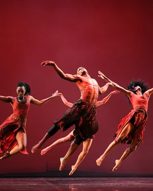 Clinard Dance's Flamenco Quartet Project