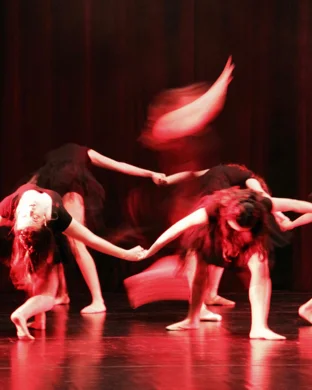 Performing Arts Academy Dekalb