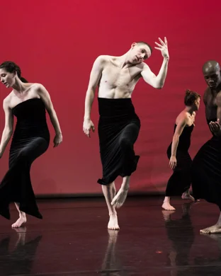 Kaleidoscope Dance Skokie