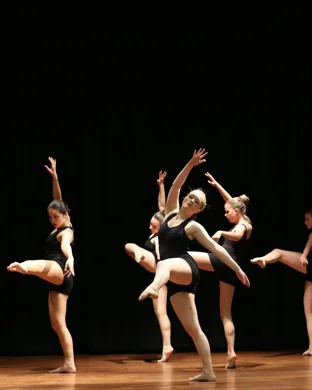 Deeply Rooted Dance Theater Chicago